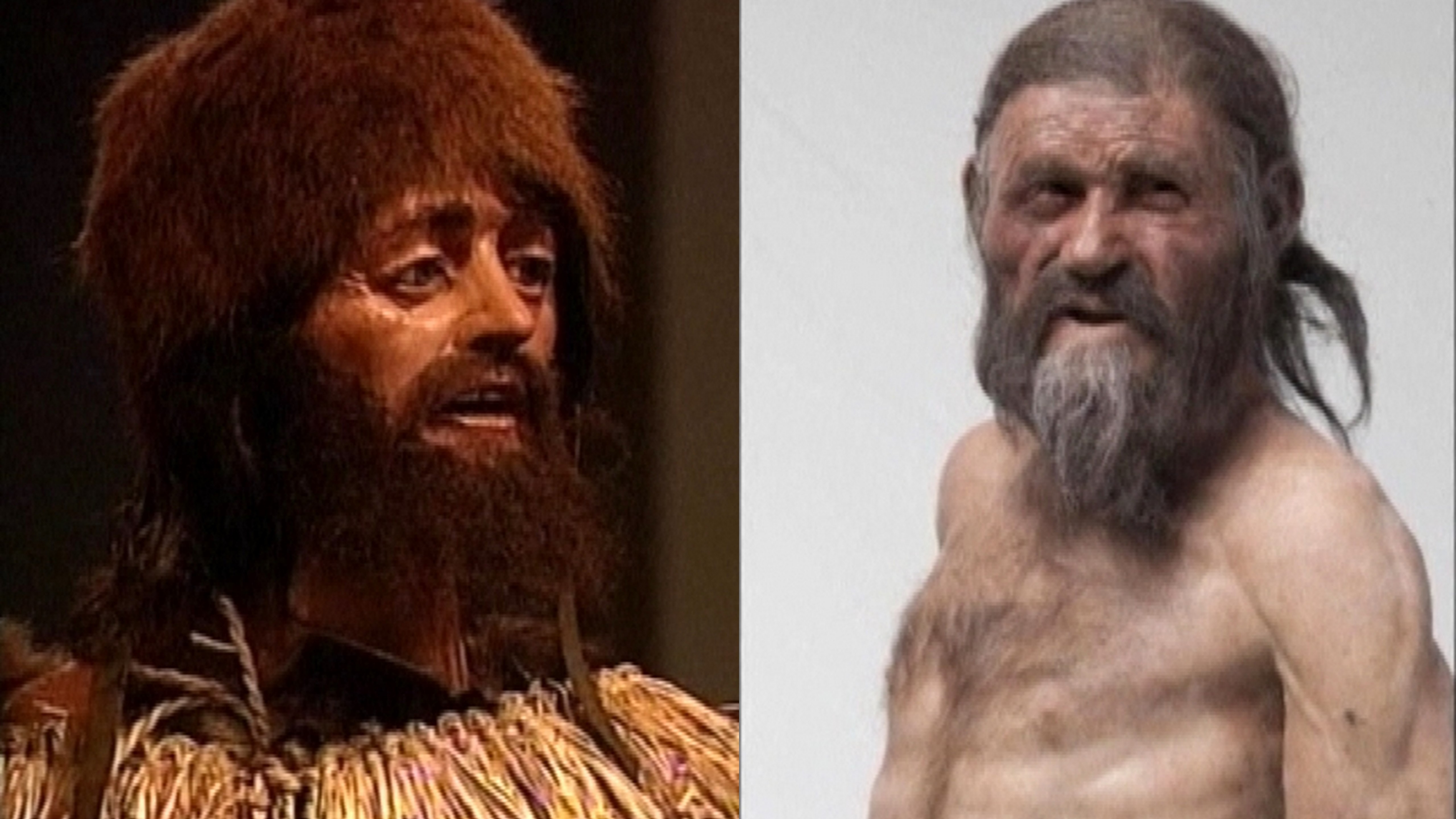 Ötzi_najstaršia ľudská krv_muž z doby medenej_smrť